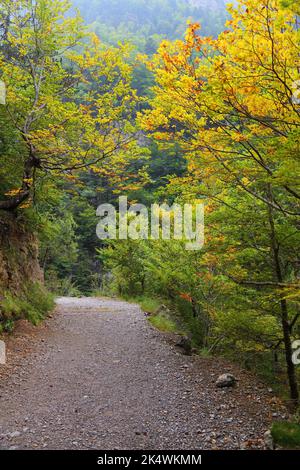 Wanderweg in Spanien. Ordesa-Tal in den spanischen Pyrenäen. Herbst im Nationalpark Ordesa y Monte Perdido. Stockfoto