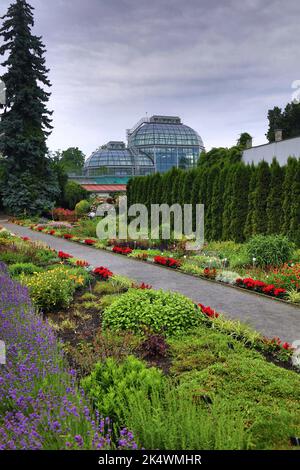 KRAKAU, POLEN - 3. JULI 2021: Blumenwege im Botanischen Garten der Jagiellonen Universität in Krakau, Polen. Stockfoto
