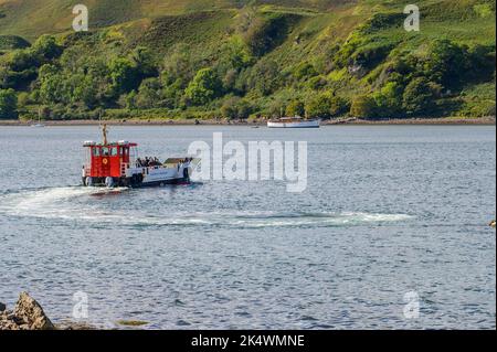 Die Calmac-Fähre nach Kerrera über den Sound of Kerrera Stockfoto