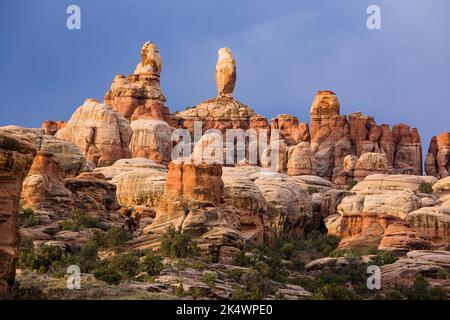 Die Needles, Cedar Mesa Sandsteinspitzen, mit einem stürmischen Sonnenaufgang im Needles District des Canyonlands National Park, Utah. Stockfoto