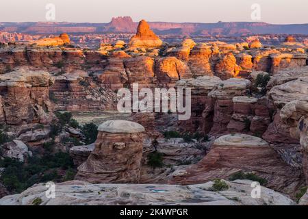 Blick bei Sonnenaufgang auf Sandsteinfelsen in der Devil's Kitchen im Needles District des Canyonlands National Park, Utah. Dahinter sind Elaterite aber Stockfoto