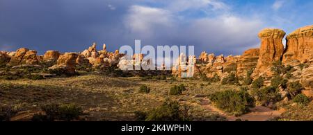 Die Needles, Cedar Mesa Sandsteinspitzen, mit einem stürmischen Sonnenaufgang im Needles District des Canyonlands National Park, Utah. Stockfoto