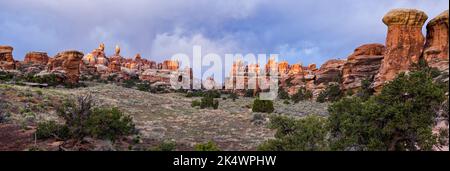 Die Needles, Cedar Mesa Sandsteinspitzen, mit einem stürmischen Sonnenaufgang im Needles District des Canyonlands National Park, Utah. Stockfoto