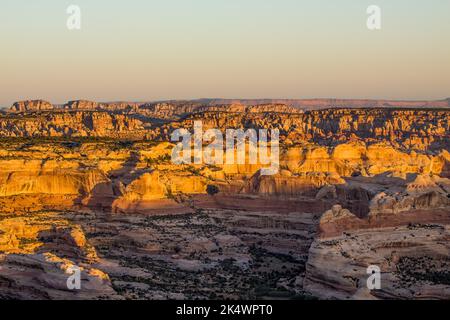 Blick auf den Needles District von Canyonlands NP bei Sonnenaufgang vom Big Pocket Overlook auf Cathedral Point. Utah. Stockfoto