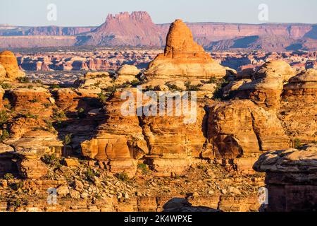 Sonnenaufgang über Cedar Mesa Sandstein Felsformationen im Devil's Kitchen Bereich im Needles District von Canyonlands NP, Utah. Elaterite Butte an Stockfoto