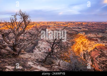 Blick auf den Needles District von Canyonlands NP bei Sonnenaufgang vom Big Pocket Overlook auf Cathedral Point. Utah. Stockfoto