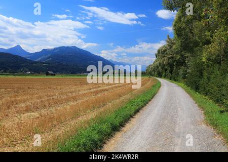 Drauradweg (Drauradweg) bei Spittal an der Drau im Bundesland Kärnten. Radweg neben Weizenstoppeln nach der Ernte. Stockfoto