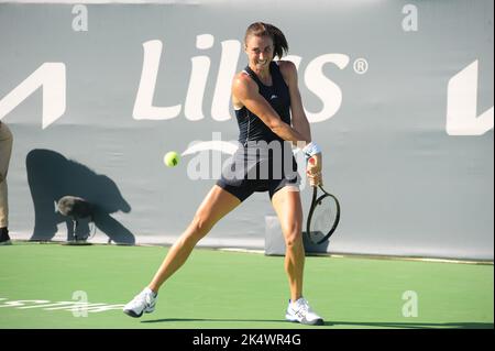 Monastir, Tunesien. 4. Oktober 2022. Petra Martic in Aktion.Petra Martic (CRO) gegen Linda Fruhvirtova (CZE) während des Jasmin Open Tunisia Tennisturniers (WTA 250) in Monastir in der Sahel (160km südöstlich von Tunis) vom 1. Bis 9. Oktober 2022.Petra Martic gewinnt 2/0. (Bild: © Chokri Mahjoub/ZUMA Press Wire) Stockfoto