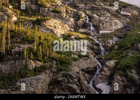 Die Schneeschmelze-Kaskade fließt durch Ein Boulderfeld im Rocky Mountain National Park Stockfoto