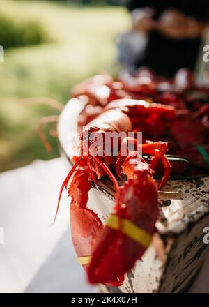 Gekochter roter Hummer in einem Holzbehälter bei warmem Sonnenlicht Stockfoto