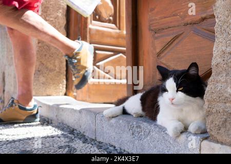 Eine schwarz-weiße Katze, die vor einem Haus auf einer Türschwelle liegt. Die Katze bewegt sich nicht oder zuckert nicht, wenn jemand an ihr vorbeigeht, wenn sie das Haus verlassen Stockfoto