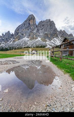 Sass De Putia Berggipfel spiegelt sich in einem Teich am Passo Delle Erbe (Wurzjoch), Dolomiten, Provinz Bozen, Südtirol, Italien Stockfoto