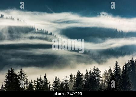 Neblige Dämmerungslandschaft mit Bäumen über Nebel in den osteuropäischen Karpaten. Siebenbürgen, Rumänien. Stockfoto