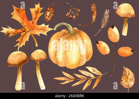 Herbst Elemente setzen Aquarell Illustration. Reife Kürbis und Pilze Herbst Illustration im Vintage-Stil. Stockfoto