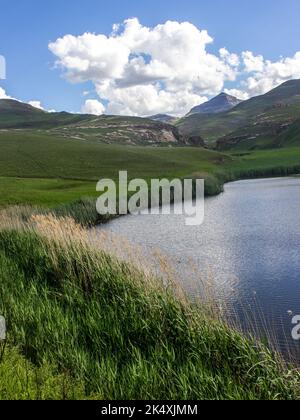 Am Ufer des Langtoon-Staudamms, einem kleinen See, eingebettet zwischen den Bergen im Golden Gate Highlands National Park Stockfoto