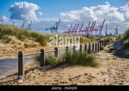 02.10.2022 Crosby, Liverpool. Merseyside, Großbritannien. Kraniche an den Liverpool Docks vom Sefton-Küstenweg aus Stockfoto