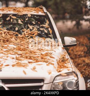 Herbst fallen Blätter liegen auf Stoßstange und Windschutzscheibe des Autos, Blatt fallen Stockfoto