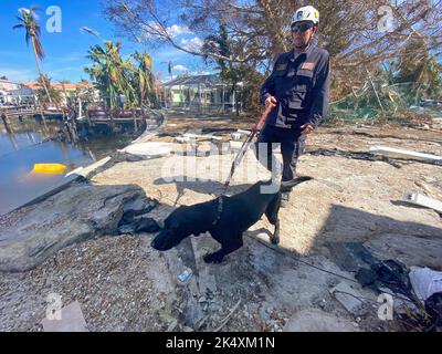 Fort Myers, FL, (Okt 3, 2022) - FEMA Urban Search and Rescue Pennsylvania Task Force 1 führt Such- und Rettungsaktionen nach dem heurrischem Ian durch. Stockfoto