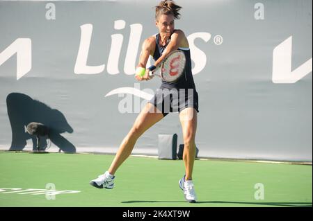 Monastir, Tunesien. 4. Oktober 2022. Petra Martic in Aktion gegen L. Fruhvirtova (CZE) während des Jasmin Open Tunisia Tennisturniers (WTA 250) in Monastir in der Sahelzone (160km südöstlich von Tunis) vom 1. Bis 9. Oktober 2022. Petra Martic gewinnt 2 Sätze auf 0. (Bild: © Chokri Mahjoub/ZUMA Press Wire) Stockfoto