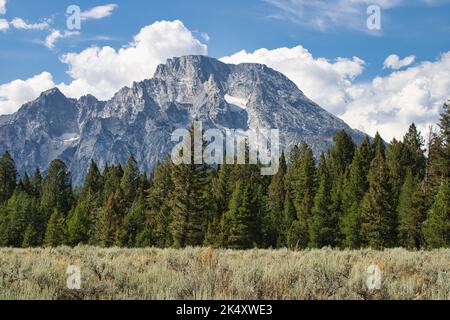 Landschaft von einer Wiese und immergrünen Wald mit dem Berg Moran in der Ferne. Aufgenommen von der Cathedral Group-Wahlbeteiligung im Grand Teton NP. Stockfoto