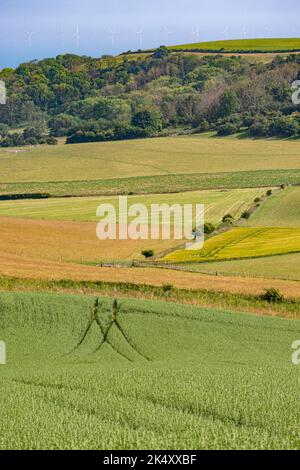 Blick auf den Lychpole Hill in der Nähe des Cissbry Ring im South Downs National Park, West Sussex, Großbritannien. Im Hintergrund ist der Windpark Rampion zu sehen. Stockfoto