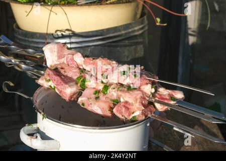 Mariniertes Fleisch auf Spiessen, die auf einem Topf liegen. Eingelegtes Fleisch mit Kräutern, fertig zum Kochen auf Kohlen. Stockfoto