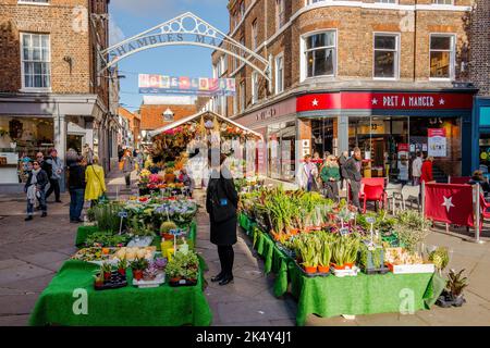 Freiluftmarkt-Stall, der Pflanzen im Shambles Market, York, Yorkshire, England verkauft. Stockfoto