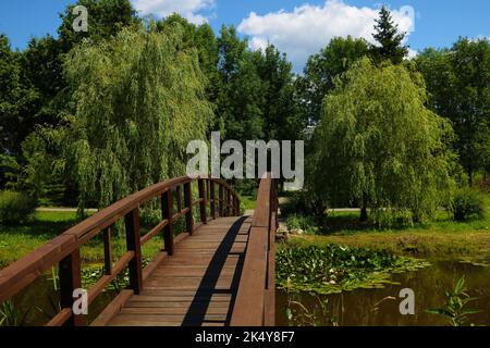 Eine kleine Holzbrücke über einen See Stockfoto