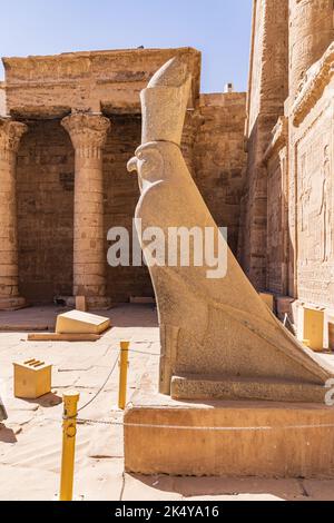 Edfu, Assuan, Ägypten. Statue des falkengottes Horus im Tempel des Horus in Edfu. Stockfoto