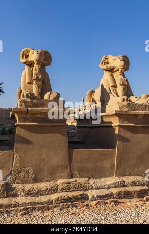 Karnak, Luxor, Ägypten. Avenue of the Rams Headed Sphinxes am Karnak Temple Complex in Luxor. Stockfoto