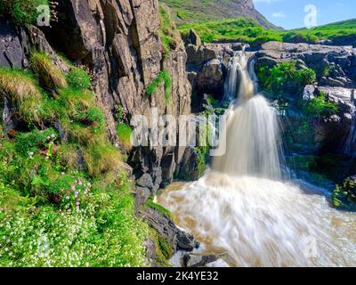 Hartland, Großbritannien - 11. Mai 20222: Welcombe Mourh Wasserfall auf der Halbinsel Hartland, North Devon Stockfoto