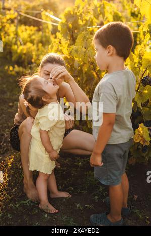 Die Mutter, die mit ihren beiden Kindern in den Weinbergen steht und das Mädchen mit Trauben füttert. Mutter Natur. Sommer Natur. Lächelndes, glückliches Kind Stockfoto