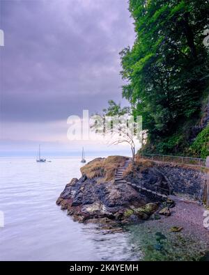 Torquay, Großbritannien - 28. Juli 2022: Sonnenaufgang am einbeinige Baum am Babbacombe Beach, in der Nähe von Torquay, Devon Stockfoto