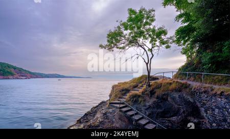 Torquay, Großbritannien - 28. Juli 2022: Sonnenaufgang am einbeinige Baum am Babbacombe Beach, in der Nähe von Torquay, Devon Stockfoto