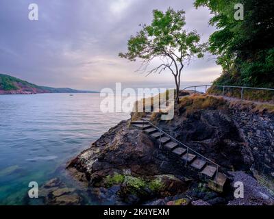 Torquay, Großbritannien - 28. Juli 2022: Sonnenaufgang am einbeinige Baum am Babbacombe Beach, in der Nähe von Torquay, Devon Stockfoto