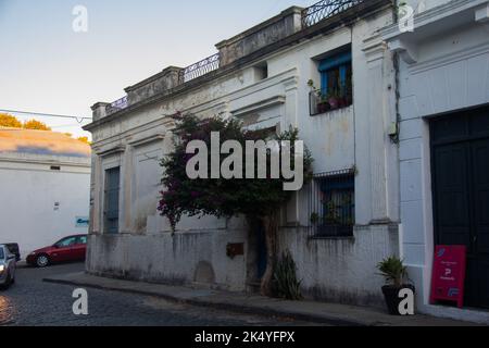 Colonia del Uruguay Küstengebiet Stockfoto