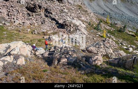 Yoho National Park, British Columbia, Kanada – 26. September 2022: Vier Künstler arbeiten im Freien in der rauen Landschaft am Lake O’Hara Stockfoto