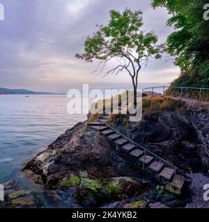 Torquay, Großbritannien - 28. Juli 2022: Sonnenaufgang am einbeinige Baum am Babbacombe Beach, in der Nähe von Torquay, Devon Stockfoto