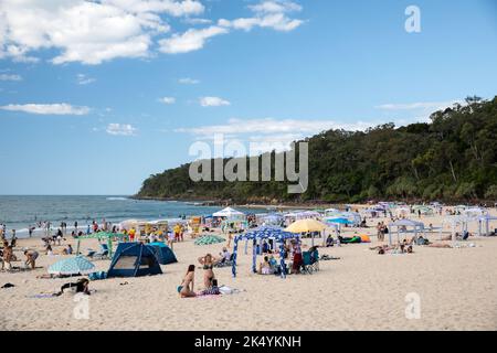 Noosa Region, Queensland, Australien Stockfoto