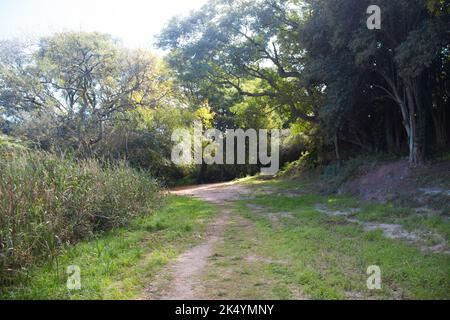 Colonia del Uruguay Küstengebiet Stockfoto