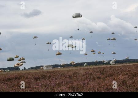 Fallschirmjäger aus 14 verschiedenen Nationen kommen im Rahmen der Übung Falcon Leap 22 am 15. September 2022 in die Hechtelse Heide Drop Zone, Belgien. Übung Falcon Leap ist eine jährliche Flugübung, die in historischen Fallzonen in den Niederlanden und Belgien durchgeführt wird, um die Interoperabilität zwischen Verbündeten und internationalen Partnern zu fördern. (USA Armeefoto von Sgt. Catessa Palone) Stockfoto