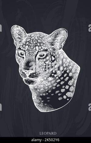 Handgezeichnete Vektor-Illustrationen für tropische Tiere. Kreideeleopard. Stock Vektor