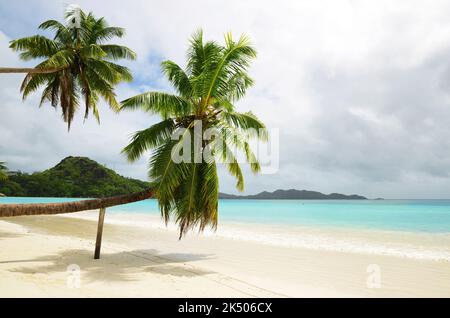 Tropischer Sandstrand Anse Volbert mit türkisfarbenem Meer auf der Insel Praslin, Seychellen, Indischer Ozean, Afrika. Stockfoto