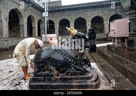 Statue des religiösen Nandi-Stiers in schwarzem Stein am Shree Kapilsidha Mallikarjun Tempel Stockfoto