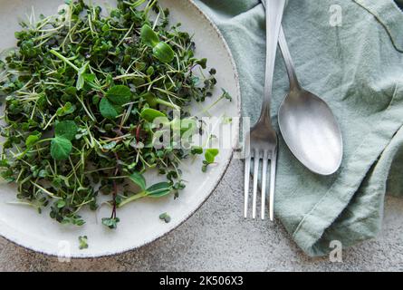 Draufsicht auf frischen mikrogrünen Sprossen auf dem Teller. Konkreter Hintergrund. Microgreens wächst. Konzept gesunde Ernährung Stockfoto