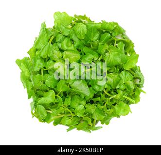 Brunnenkresse, Gelbkresse, von oben. Frische, rohe und grüne Blätter von Nasturtium officinale, einer wasserblühenden Pflanze mit pikantem Geschmack. Stockfoto