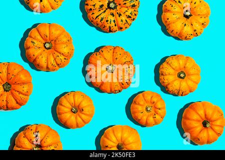 Kürbis minimaler Hintergrund. Orangefarbene Kürbisse auf blauer kreativer Oberfläche. Halloween, Herbst, flaches Lay-Konzept. Hochwertige Fotos Stockfoto