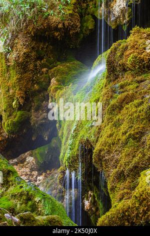 Wasserquelle in Karstfelsen, winziger idyllischer Wasserfall in sauberer Umgebung, Nacimiento Río Cuervo, Cuenca, Spanien Stockfoto