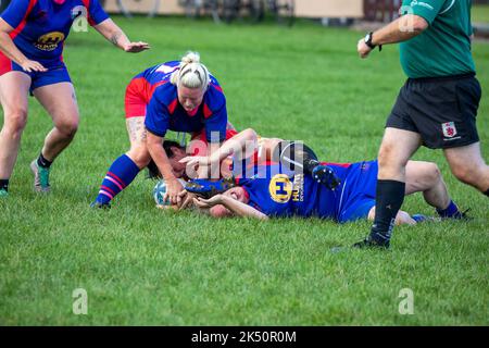 Totnes RFC spielen gegen Camborne RFC auf ihrem Boden in Totnes, Devon Stockfoto