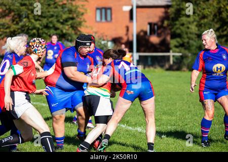 Totnes RFC spielen gegen Camborne RFC auf ihrem Boden in Totnes, Devon Stockfoto